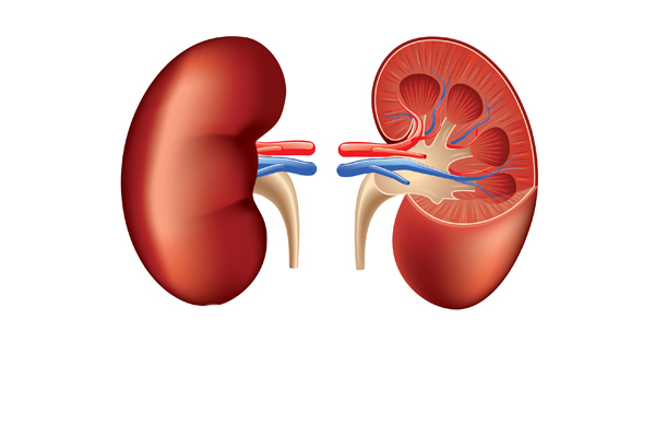 acute-renal-failure